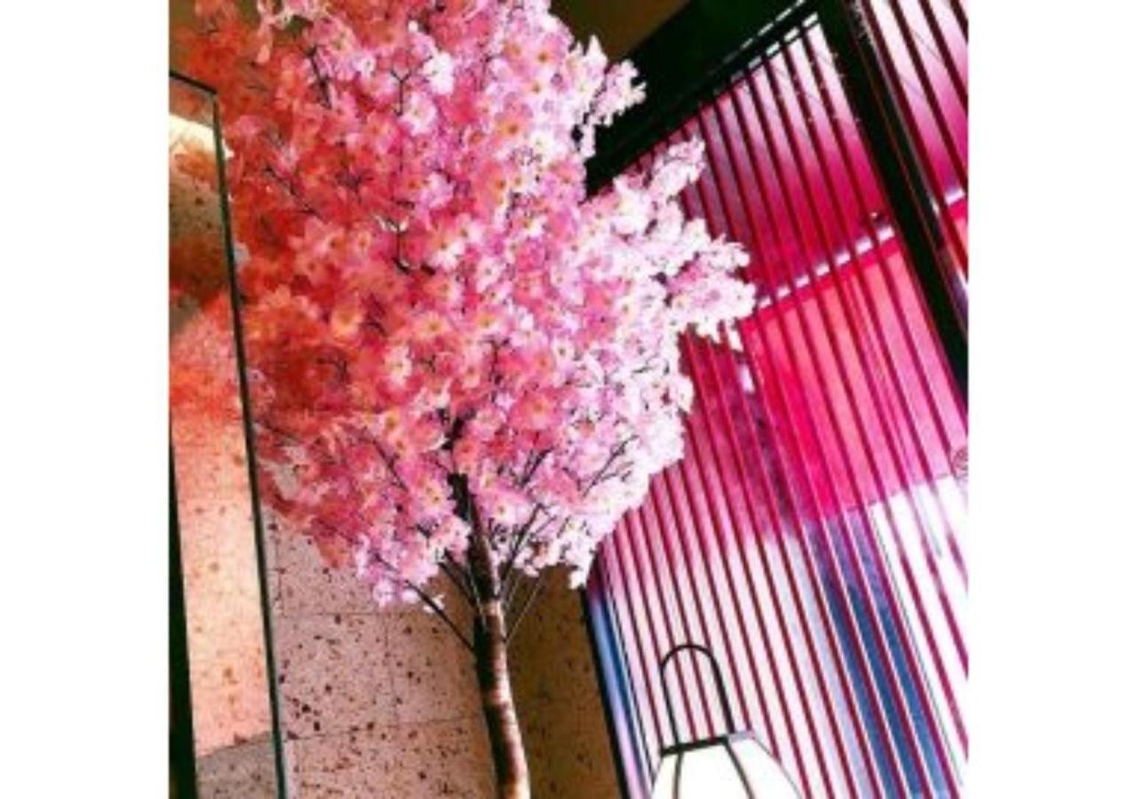טוקיו Sakura Sky Hotel - Vacation Stay 18444V מראה חיצוני תמונה